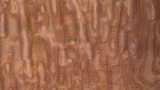 texture: bark21