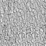 texture: barklores_b