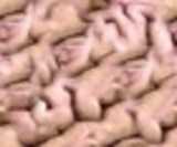 texture: brain1