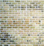 texture: brick41