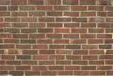 texture: brick46