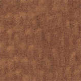 texture: windswept_bronze