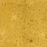 texture: sponge