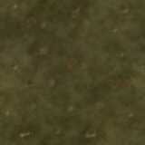 texture: dirt14