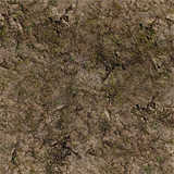 texture: dirt17