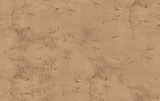 texture: dirt19