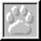 texture: pawprint