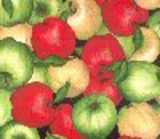 texture: apples