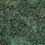 texture: rotten_green