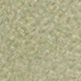 texture: olive_tela