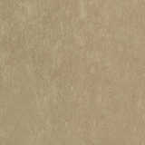 texture: vicuna_brush