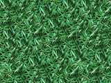 texture: acharya_grass6