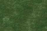 texture: grass15