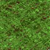 texture: grass16