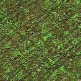 texture: grass17