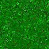 texture: grass21