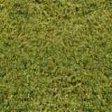 texture: grass2