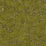 texture: grass30