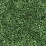 texture: grass36