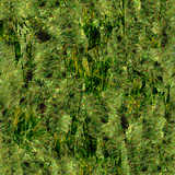 texture: grass7