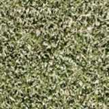 texture: grass8