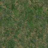 texture: grass_ground2