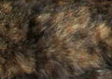 texture: cathair1