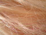 texture: hair7