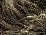 texture: hair9