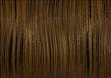 texture: longhair