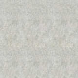 texture: winter_craze