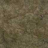 texture: mud_grass