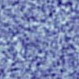 texture: bluenoise