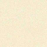 texture: rice_paper