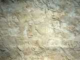 texture: plaster14