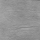 texture: plaster19