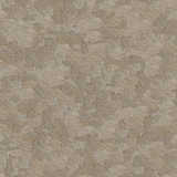 texture: roughfloor4