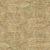 texture: desert_boa