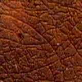 texture: humanskin3