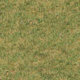 texture: straw7