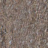 texture: woodlores_a