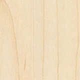 texture: manitoba_maple