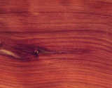 texture: cedar1